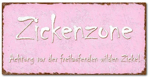 Blechschild im Vintage Look mit Wunschtext 300 x 150mm rosa/braun