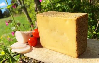 Wein & Käse Osthofen