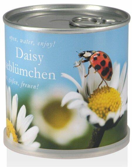 Gänseblümchen aus der Dose