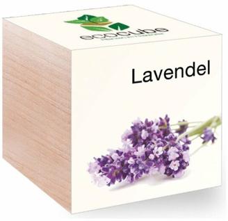 EcoCube Lavendel