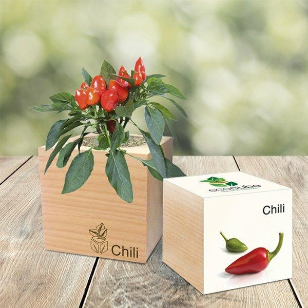 EcoCube Chili