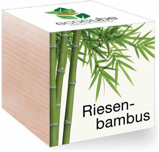 EcoCube Riesenbambus