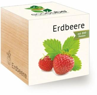 EcoCube 