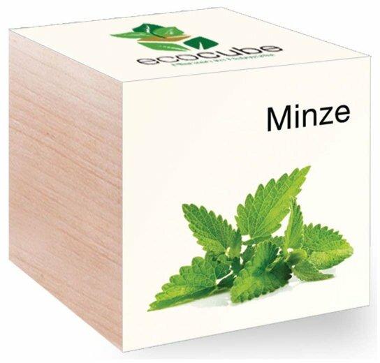 EcoCube "Minze"