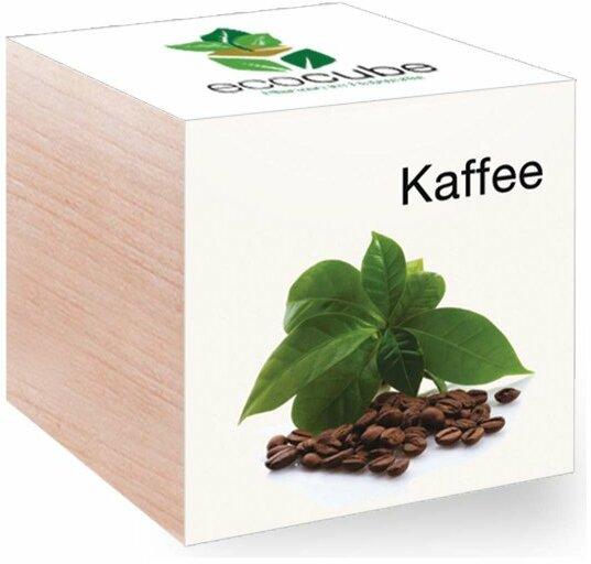 EcoCube "Kaffee"