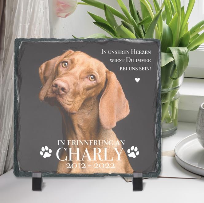 Schiefertafel mit Fotodruck Deines Haustiers "In unseren Herzen wirst Du immer bei uns sein!" - personalisierbar