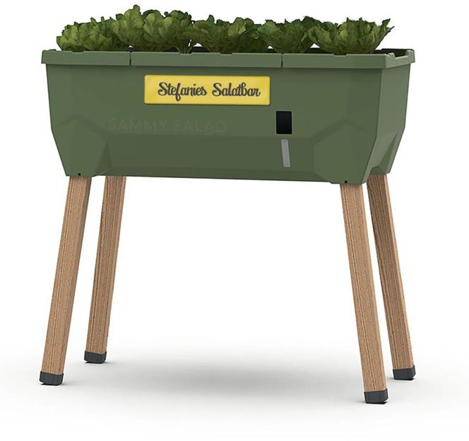 Sammy Salad - Hochbeet mit Personalisierung