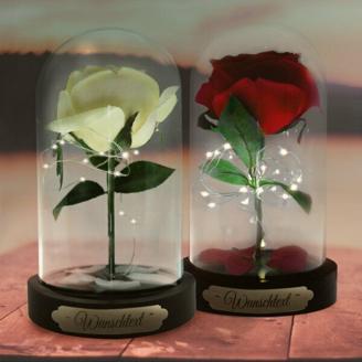 Ewige Rose im Glas mit Personalisierung