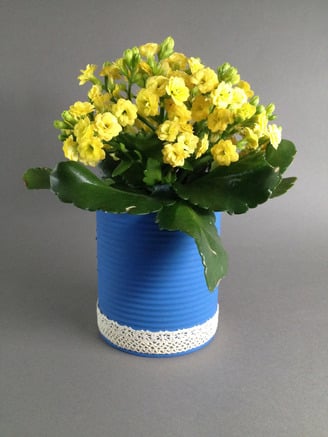 DIY-Blumentöpfe