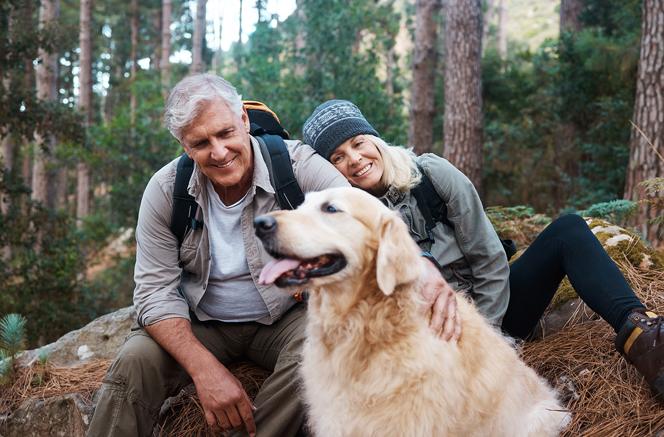 Urlaub mit Hund im Harz für 2 (2 Nächte)