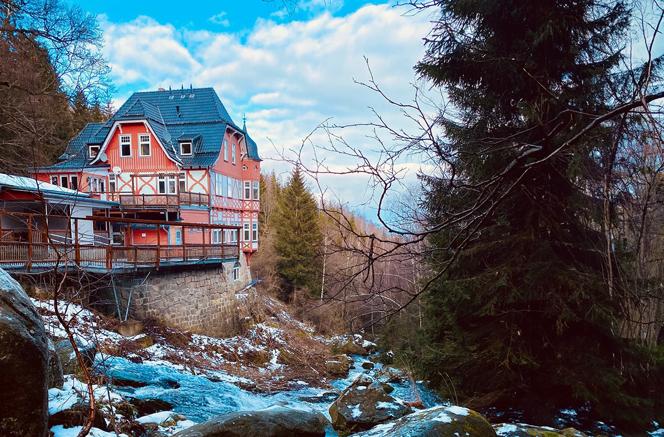 Urlaub mit Hund im Harz für 2 (2 Nächte)