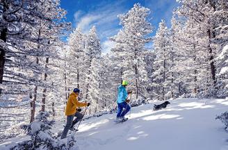 Schneeschuh-Tour mit dem eigenen Hund