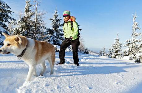 Schneeschuh-Tour mit dem eigenen Hund