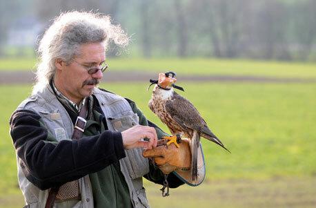 Falkner Erlebnis Schweiz