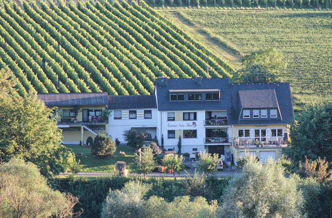 Kurzurlaub an der Mosel (1 Nacht)