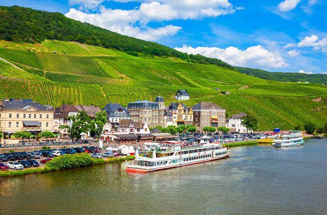 Weinwanderung und Schifffahrt auf der Mosel