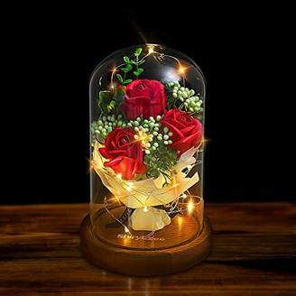 shirylzee Rose im Glas Ewige Rose Glas Licht Künstliche Rose mit LED-Licht in Glaskuppel, Romantisch Dekoration Geschenk zum Muttertag Valentinstag Jubiläum Geburtstag Hochzeit Weihnachten (Rot)