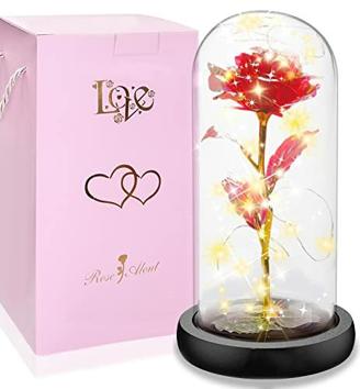 Rose im Glas, Ewige Rose im Glas mit LED-Licht,Die Schöne und das Biest Rose, Künstliche Blumenrose Romantische Geschenke für Mama, Oma, Frauen, Freundin, Valentinstag, Geburtstag, Hauptdekor