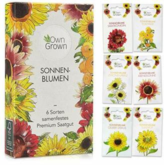 Sonnenblumen Samen Set : Sonnenblumen Saatgut mit 6 Sorten – Blumen Geschenk Set mit Riesen Sonnenblumen Samen und Sonnenblumen Samen klein – Blumensamen Sonnenblumen – Saatgut Blumen von OwnGrown