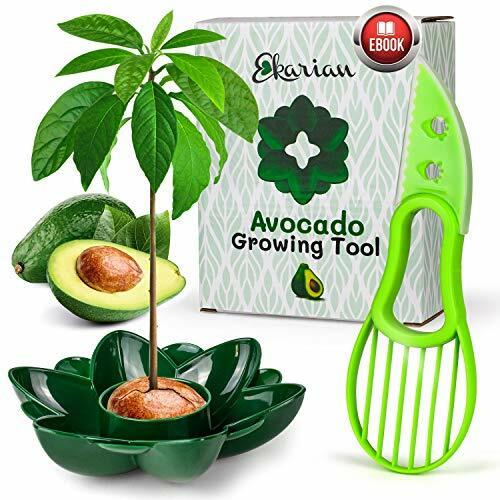 EKARIAN Avocado Growing Tool | Geschenke für Frauen | Avocado Pflanzen | Geburtstagsgeschenk | Avocado züchten | Avocado Schneider | Avocadobaum Pflanzen | Ebook