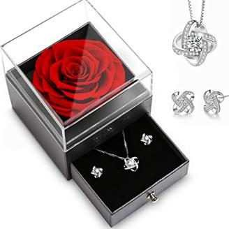 Elekin Ewige Rose Geschenke für Sie, Konservierte Infinity Rosen Geschenk für Frauen Freundin Sie Mutter zum Geburtstag Hochzeit Valentinstag