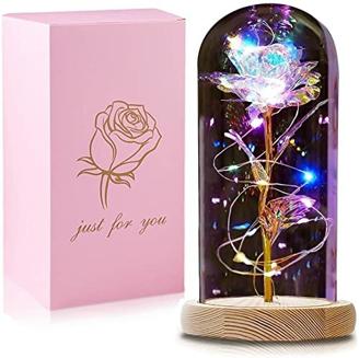 QUNPON Muttertagsgeschenk für Mama, Ewige Rose im Glas Die Schöne und das Biest Rose in Glaskuppel, Sparkly Galaxy Rose mit LED-Lichter, Geschenke für Frauen Oma Geburtstag Freundin
